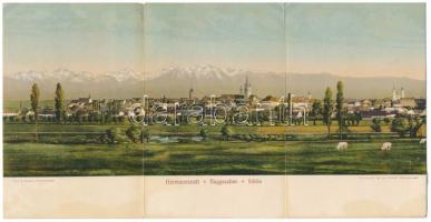 1914 Nagyszeben, Hermannstadt, Sibiu; Phot. E. Fischer, Jos. Drotleff / Három részes kihajtható panorámalap / 3-tiled folding panoramacard (r)