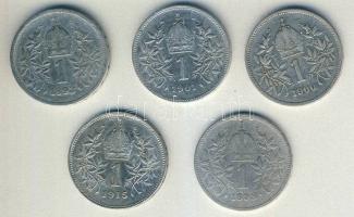 Ausztria 1893-1915. 1K Ag (5x) T:3