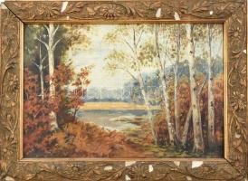 Jelzés nélkül: Őszi erdő. Olaj, karton. Dekoratív, sérült szecessziós keretben. 23x33 cm