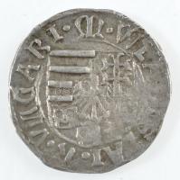 1498-1503. Denár Ag II. Ulászló (0,53g) T:2,2-  1498-1503. Denar Ag Wladislaus II (0,53g) C:XF,VF Huszár: 807., Unger I.: 641.a