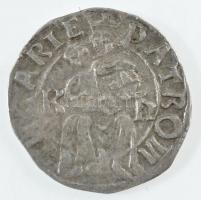 1498-1503. Denár Ag "II. Ulászló" (0,53g) T:2,2- 
1498-1503. Denar Ag "Wladislaus II...