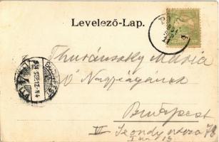 1904 Vajdahunyad, Hunedoara; Vajdahunyadi vár. Schuller kiadása / castle (ázott sarok / wet corner)