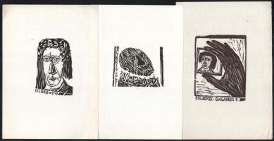 13 db különféle technikájú külföldi és magyar ex libris / 13 ex libris bookplates. Different techniq...