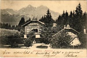 1906 Matlárháza, Matliary, Tatranské Matliare (Magas-Tátra, Vysoké Tatry); nyaraló. Kuszmann Gyula kiadása / villa (fl)