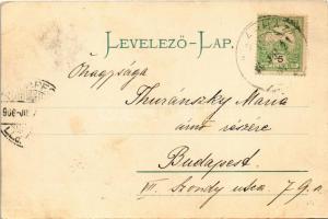 1906 Matlárháza, Matliary, Tatranské Matliare (Magas-Tátra, Vysoké Tatry); nyaraló. Kuszmann Gyula k...