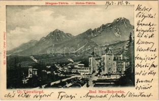 1902 Újtátrafüred, Neu-Schmecks, Novy Smokovec (Magas-Tátra, Vysoké Tatry); látkép. Divald Adolf 128. / general view