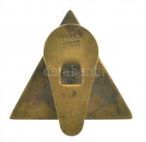 1943. A m. kir. 13. könnyű hadosztály emlékjelvénye, zománcozott bronz gomblyukjelvény, hátlapon két...