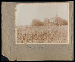 cca 1910 Révfülöp 3 db fotó albumlapon 11x8 cm