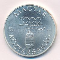 1995. 1000Ft Ag "Régi dunai hajók III - Hableány" kapszulában, tanúsítvánnyal T:BU Adamo E...