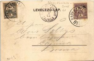 1901 Nagykanizsa, Hetivásári jelenet, piac. Alt & Böhm kiadása + "NAGY-KANIZSA - BROD 61. S...