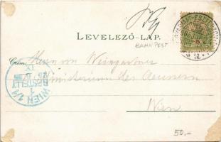 1905 Balassagyarmat, B.-Gyarmat; Fő utca, Megyeház, Kórház, Fogház, Kékkői vár. Wertheimer Zsigmond ...