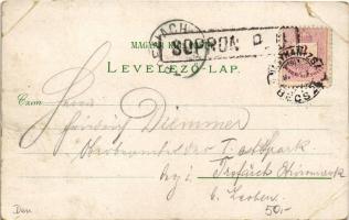 1897 (Vorläufer) Sopron, Ödenburg; Domonkos templom, Fertő tó, Várkerület, Széchenyi István szobor, ...