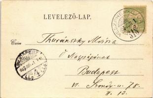 1903 Pannonhalma, Győrszentmárton; apátság az ezredéves emlék felől + "VESZPRÉM - GYŐR 318&quot...