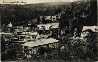 1914 Feketehegyfürdő, Feketehegy, Cernohorské kúpele (Merény, Vondrisel, Nálepkovo); nyaralók / villas