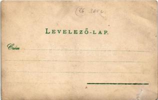 1905 Besztercebánya, Banská Bystrica; hölgyek csónakos műtermi képe / ladies in boat, studio photo (...