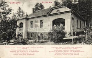 Bártfafürdő Patek Villa