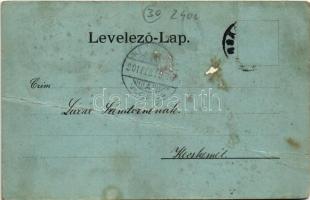 1901 Boksánbánya, Németbogsán, Deutsch-Bogsan, Bocsa Montana; Martin Demetrovits szálloda, hitelbank...