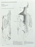 Menschliche Anatomie für Künstler. Zeichnungen von András Szunyoghy. Text von Dr. György Fehér. Köln...