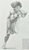 Menschliche Anatomie für Künstler. Zeichnungen von András Szunyoghy. Text von Dr. György Fehér. Köln...