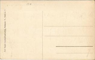 Székelyhíd, Sacueni; Gróf Stubenberg kastély. Vasúti levelezőlapárusítás 3555. / castle