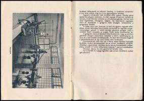 Dobrossy Béla-Sobók Ferenc: Hévíz. Bp.,1955,Egészségügyi Minisztérium Egészségügyi Felvilágosítás Os...