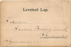 1898 (Vorläufer) Pécs, mulatozó társaság. Art Nouveau photo (fa)