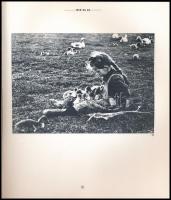 A. Kertész 1894 - 1985 - 1994. Szerk.: Kolta, Magdolna. Bp., 1994, Ungarisches Fotografisches Museum...