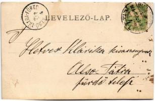 1904 Budapest, Szűcs Pál úri és női cipész üzlete. photo (EK)