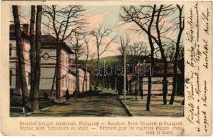 1903 Budakeszi, Erzsébet királyné szanatórium, gépház keleti homlokzata és istálló (EK)