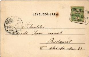 1903 Budakeszi, Erzsébet királyné szanatórium, gépház keleti homlokzata és istálló (EK)