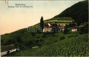 Badacsony, Szegedy Rózsa és Kisfaludy ház, szőlőskertek