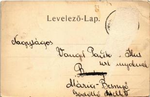 Iglófüred, Spisská Nová Ves Kupele, Novovesské Kúpele; Millenium nyaraló. Wlaszlovits G. 6007. / vil...