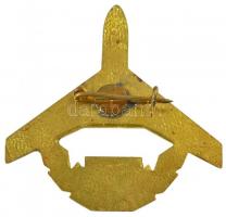 ~1975. "MALÉV 25 éves törzsgárda" festett, műgyantás jelvény (43x43mm) T:1