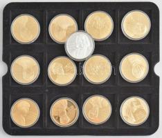 DN "Nagy magyarok" 25xklf aranyozott Cu emlékérem (egy ezüstözött) mahagóni fa éremtartóba...