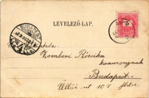 Zsigárd, Zigárd, Zihárec; Római katolikus templom, Református templom, Özv. Erdély Lajosné üzlete. G...