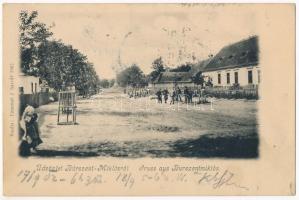 1902 Búrszentmiklós, Bur-Sankt-Niklas, Borsky Mikulás; utcakép. Kiadja Emanuel J. / street view (fl)
