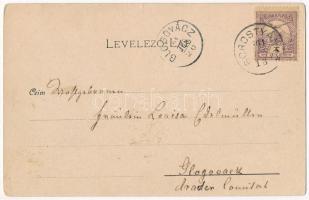 1901 Borostyánkő, Bernstein; utca, vár, Mager József üzlete / street view, castle, shop (kis szakadá...