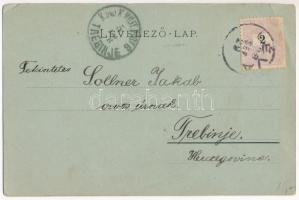 1898 (Vorläufer) Léva, Levice; várrom, látkép a zsinagógával / Levicky hrad / castle ruins, general ...