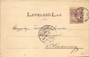 1900 Fülek, Filakovo; Palásthy villa, Stephány kastély háttérrel. Fénynyomat Divald műintézetéből / ...