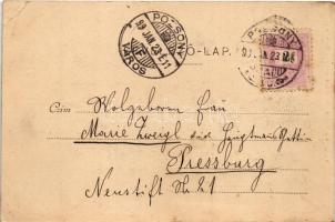 1899 (Vorläufer) Pozsony, Pressburg, Bratislava; Verlag von Rudolf Drodtleff. Art Nouveau, floral (E...