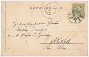 1905 Pozsony, Pressburg, Bratislava; Madártávlat, zsinagóga. Kiadja a "Szolgáld ki magad" ...