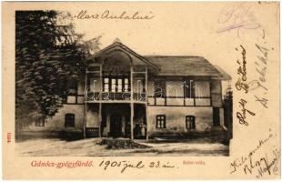 1905 Gánóc-gyógyfürdő, Kúpele Gánovce, Gansdorf; Kelet villa / villa (EK)