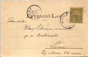 1905 Gánóc-gyógyfürdő, Kúpele Gánovce, Gansdorf; Kelet villa / villa (EK)