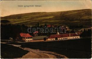 1910 Gánóc-gyógyfürdő, Kúpele Gánovce, Gansdorf; látkép / general view (kopott sarkak / worn corners)