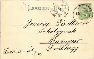 1905 Stószfürdő, Stoósz-fürdő, Kúpele Stós; Hungária nyaraló. Wlaszlovits Gusztáv 1533. / villa