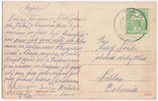 Siófok, halásztelep, iparvasút (apró szakadás / tiny tear)