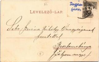 1899 (Vorläufer) Budapest, Ferenc József híd, Gellérthegy (még nincs Gellért tér, szálló se egyetem)...