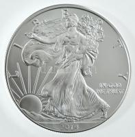 Amerikai Egyesült Államok 2014. 1$ Ag Ezüst Sas tanúsítvánnyal T:1 USA 2014. 1 Dollar Ag Silver Eagle with certificate C:UNC
