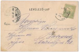 1902 Kistapolcsány, Topolcianky; József Ágost kir. főherceg kastélya. Brunczlik Imre kiadása / castl...