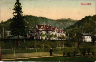 1912 Fenyőháza, Lubochna; látkép. Holczmann Izidor kiadása / general view (lyuk / pinhole)